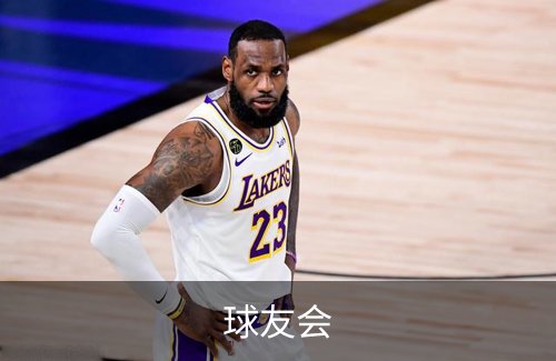 球友会概况